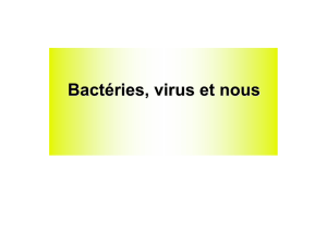 Bactéries et virus - FTP de P-ZiB