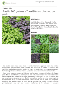Basilic 200 graines - 7 variétés et 1 pack au choix