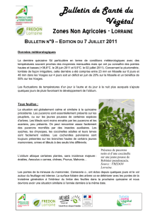 Bulletin de Santé du Végétal