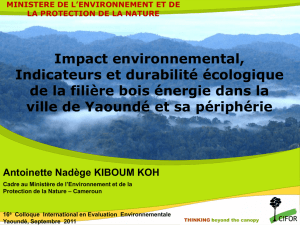 Impact environnemental, Indicateurs et durabilité écologique de la