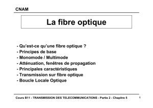 La fibre optique - Mise en oeuvre des systèmes
