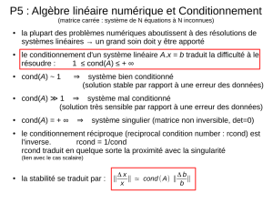 P5 : Algèbre linéaire numérique et Conditionnement