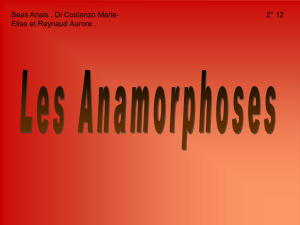 Les_anamorphoses ( PDF - 733.8 ko)