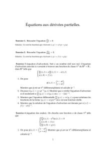 Équations aux dérivées partielles.