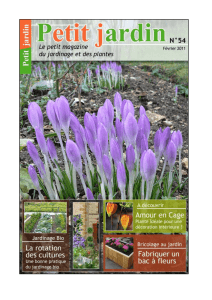 Magazine Petit Jardin N°54 - Février 2011 - Graines-et