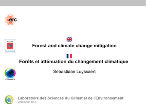 Forest and climate change mitigation Forêts et atténuation du