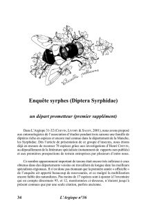 Enquête syrphes (Diptera Syrphidae) - Manche