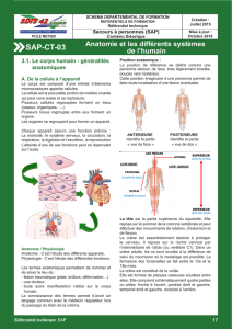 SAP-CT-03-Anatomie et les différents systèmes de l`humain