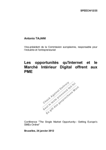 Les opportunités qu`Internet et le Marché Intérieur