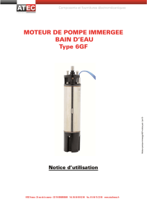 MOTEUR DE POMPE IMMERGEE BAIN D`EAU Type 6GF