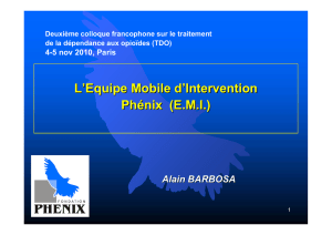 L`Equipe Mobile d`Intervention Phénix (E.M.I.)