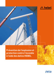 Prévention de l`explosion et protection contre l`incendie à l