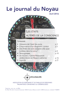 Le journal du Noyau