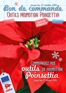 Outils promotion Poinsettia