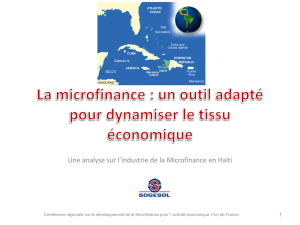 Panorama du secteur de la microfinance en Haïti