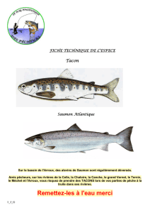 FICHE Saumon Atlantique - Union Gaule Autunoise Pêcheurs