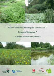 Plantes invasives aquatiques en Wallonie : Comment - ORBi