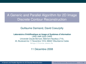 A Generic and Parallel Algorithm for 2D Image Discrete Contour