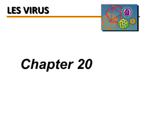 virus - Biotechnologies