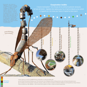 Coopération inédite L` insecte hyménoptère* et la