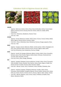 Calendrier fruits et légumes locaux de saison
