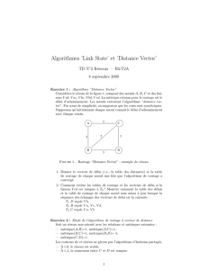 Algorithmes `Link State` et `Distance Vector`