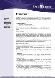 Lysogram - Laboratoire oenologique "Le Morgon"