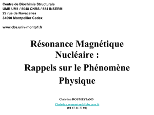 Résonance Magnétique Nucléaire : Rappels sur le Phénomène