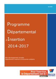 Programme Départemental d`Insertion 2014-2017