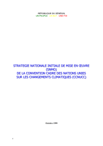 Stratégie Nationale Initiale de mise en oeuvre (SNMO) de la