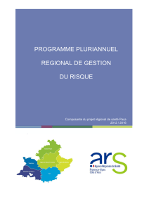 Programme pluriannuel régional de gestion du risque 2012