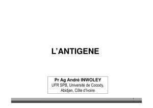 l`antigene