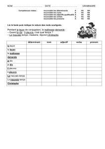 Nature des mots 2