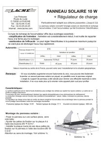 PANNEAU SOLAIRE 10 W + Régulateur de charge