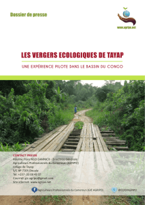LES VERGERS ECOLOGIQUES DE TAYAP