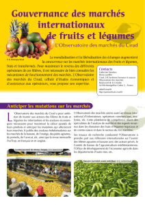 Gouvernance des marchés internationaux de fruits et légumes