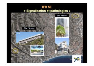 IFR 50 « Signalisation et pathologies