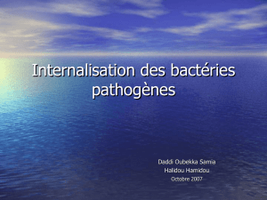 Internalisation des bactéries pathogènes