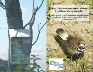 Livret d`informations et recueil terrain des 21 espèces d`oiseaux