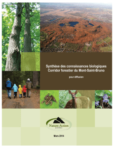 Rapport Bio Diffusion 2013 - Le Corridor Forestier du Mont