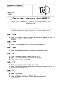 CCB UE5 correction