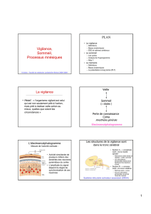 Vigilance, Sommeil, Processus mnésiques