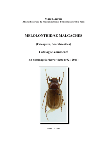 melolonthidae malgaches