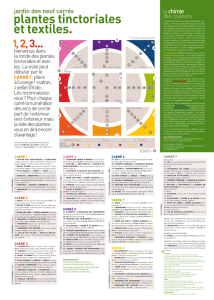 plantes tinctoriales et textiles.