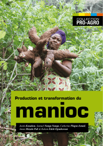 Production et transformation du manioc