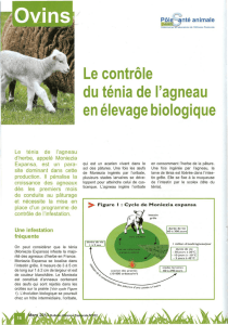 Le contrôle du ténia de l`agneau en élevage biologique