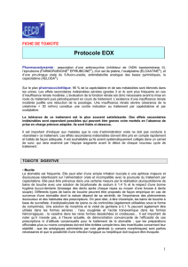 Protocole EOX