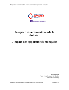 Perspectives économiques de la Guinée : L`impact