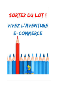 L`E-commerce - Sébastien Cerise