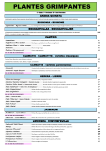 plantes grimpantes - Val de Loire Productions